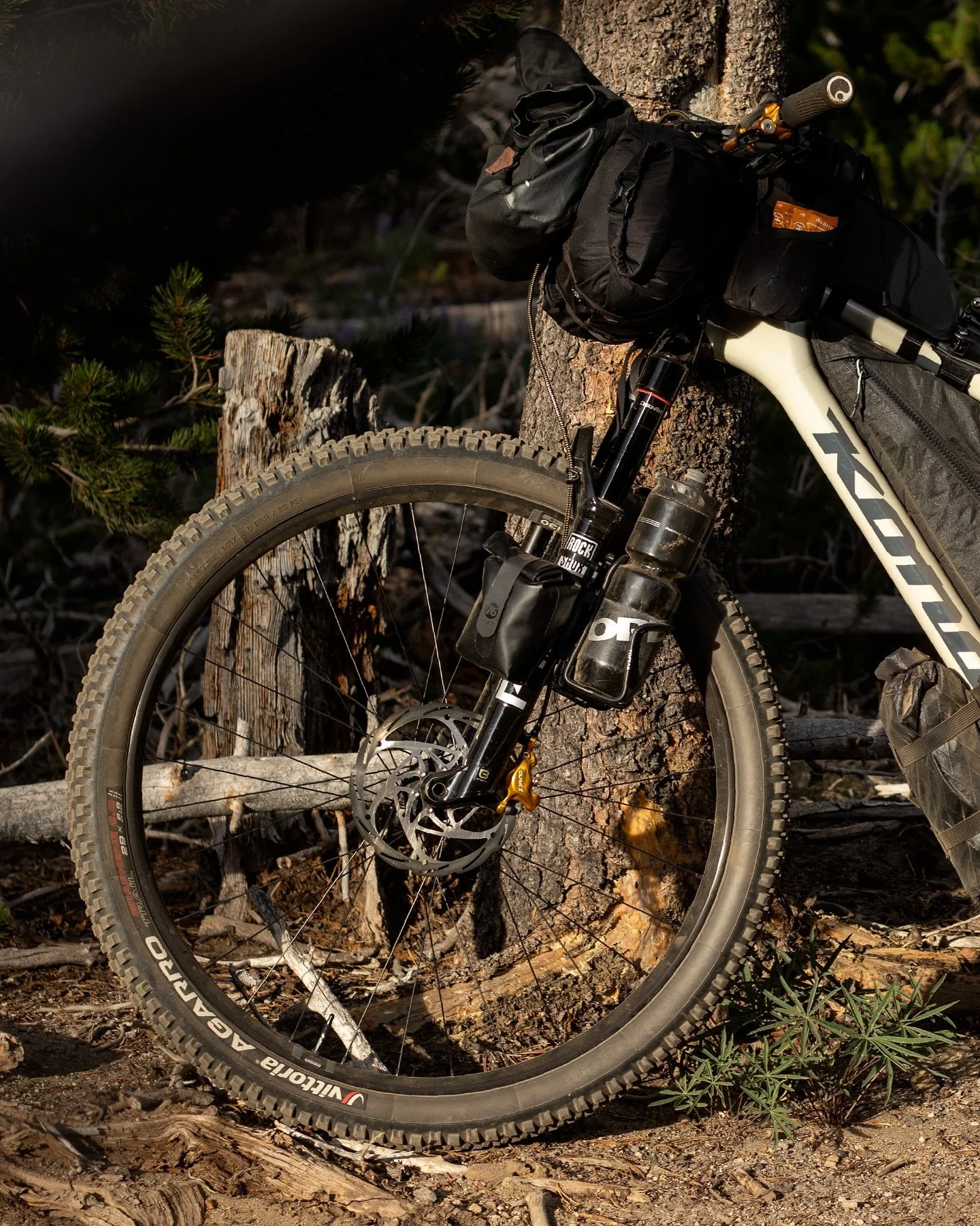 We were born in the mountains, shaped and nurtured by their silent presence and wild rhythms. It&rsquo;s no surprise that we have always been drawn to the highest ridgelines, the forgotten trails, and the places where the wilderness whispers in a lan