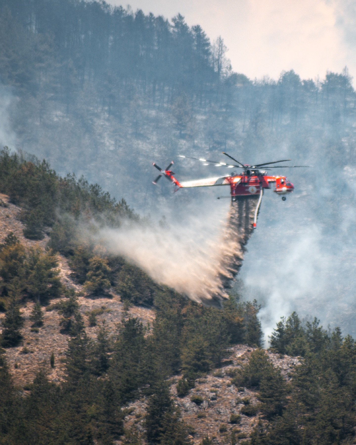 Fire tried to erase our backyard in August 2020, when the pine forest behind L&rsquo;Aquila turned to ash in just a few hours and the trail we ride and shape disappeared under fallen, burnt trees. Even buried under debris, we never lost sight of its 
