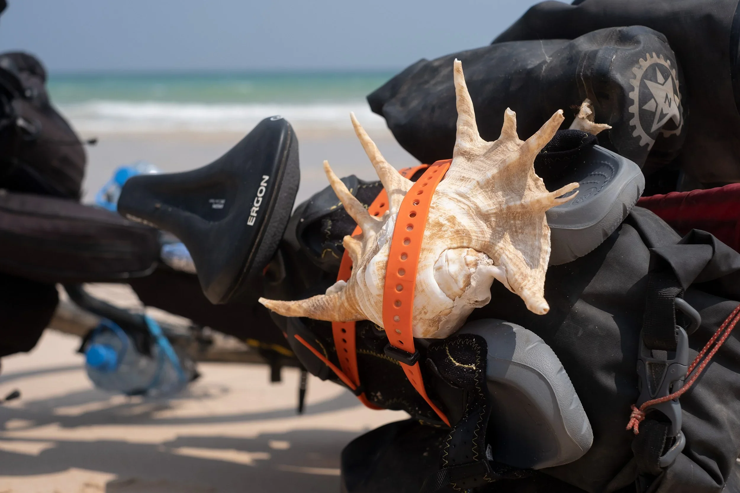 DSCF5553.webp