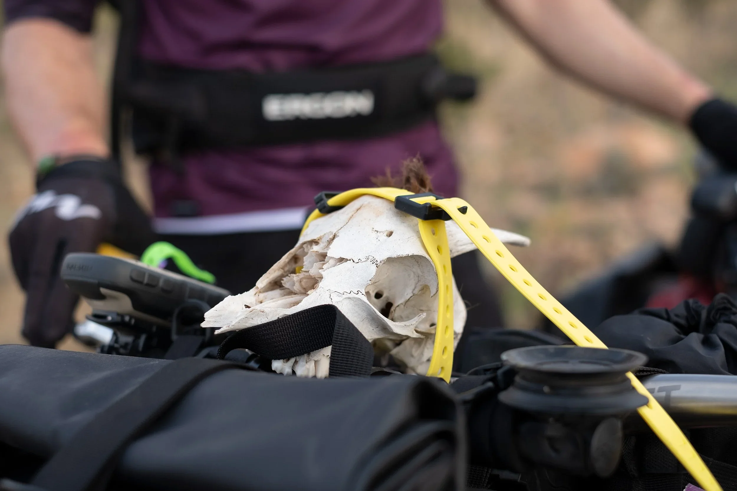 DSCF4495.webp