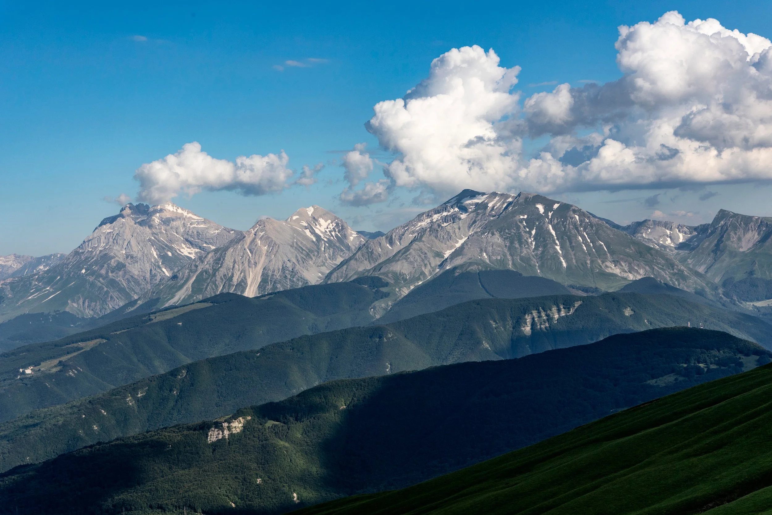 N35A5441.jpg