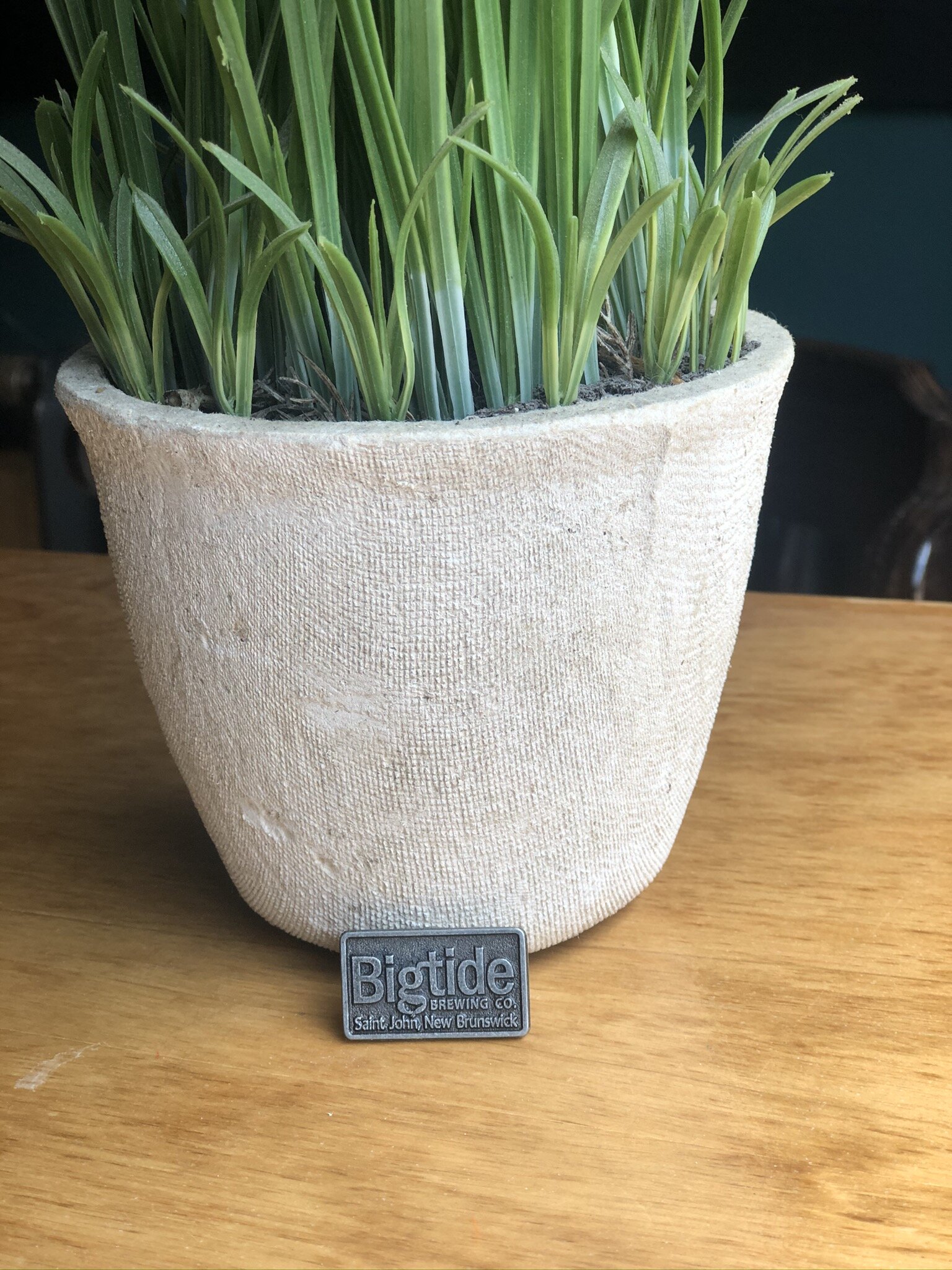  Bigtide Collectors Pin