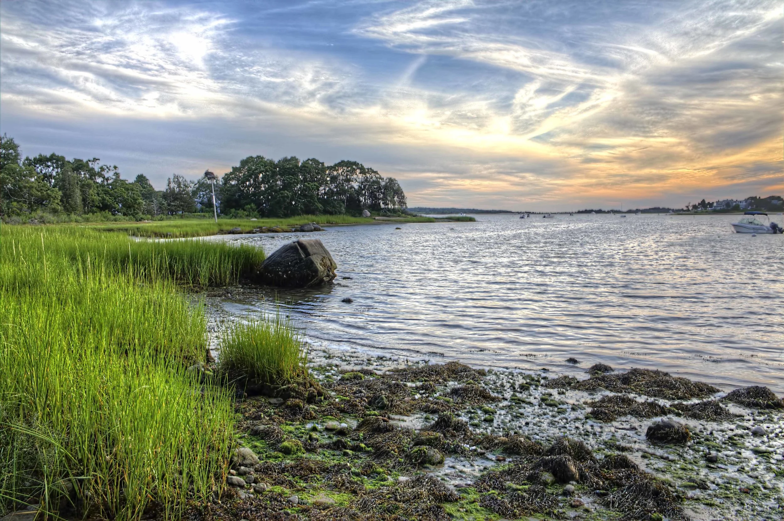 IMG_8530_1_2_tonemapped_edited-1.jpg