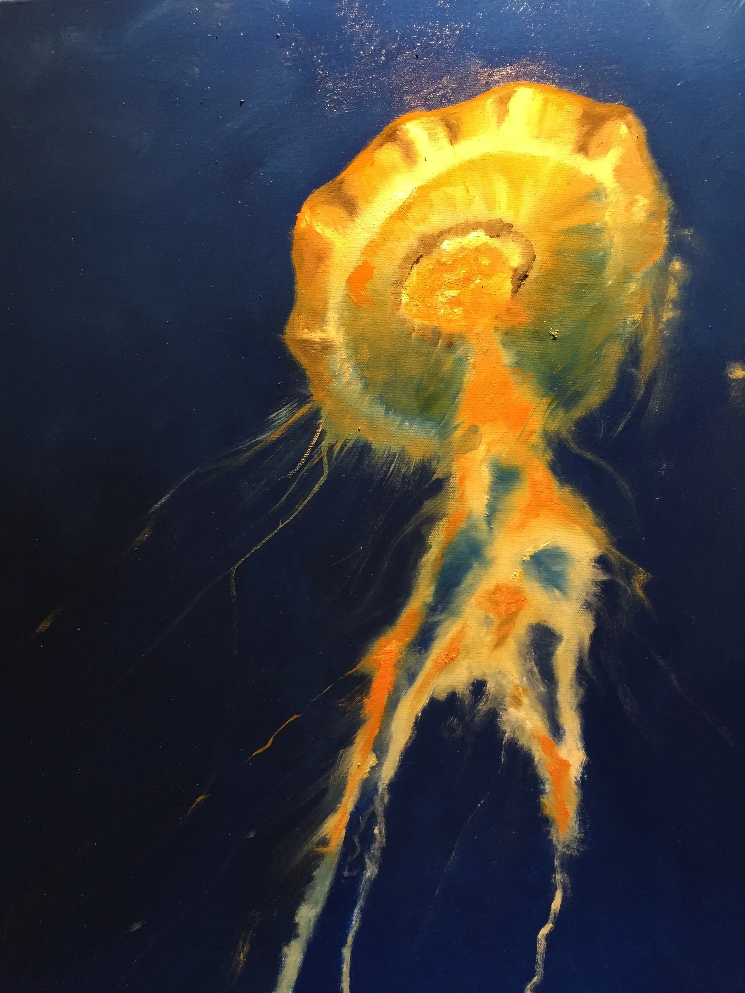 "Free flight" 24 x 30, oil on canvas