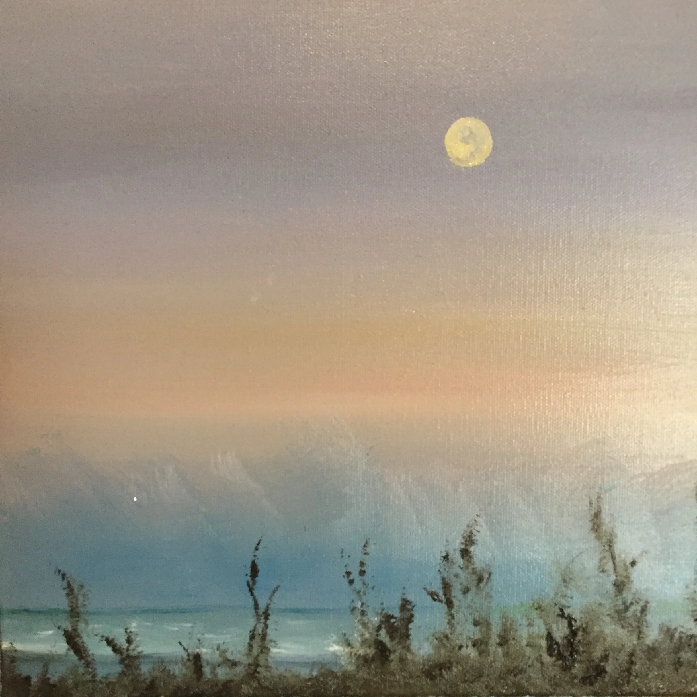 "moon over Celery park" 12 x 12 oil on canvas