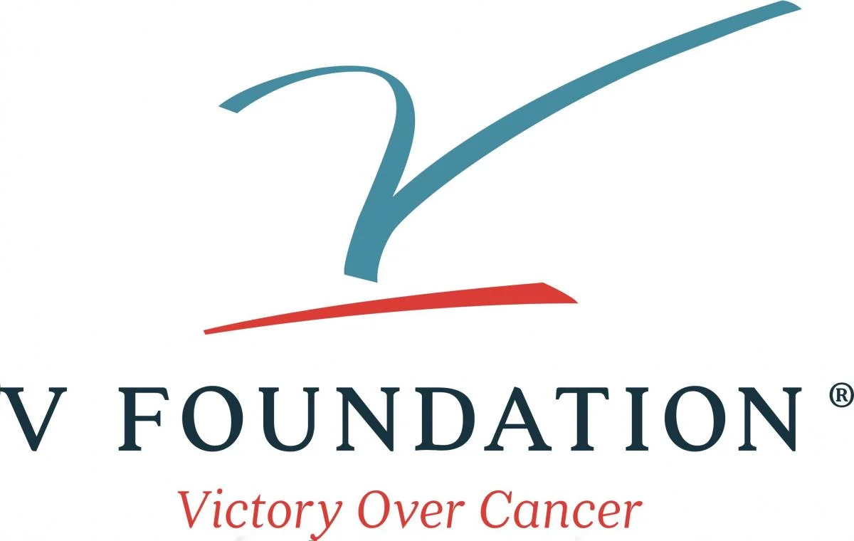 VFoundationLogo.jpg