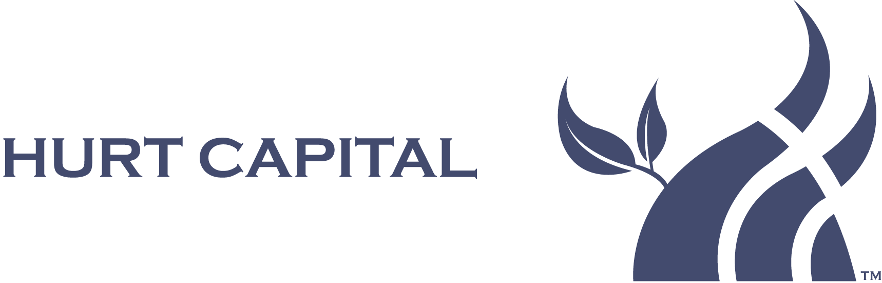 Hurt+Capital+Full+Logo+2017+-+Blue+-+Horizontal.png