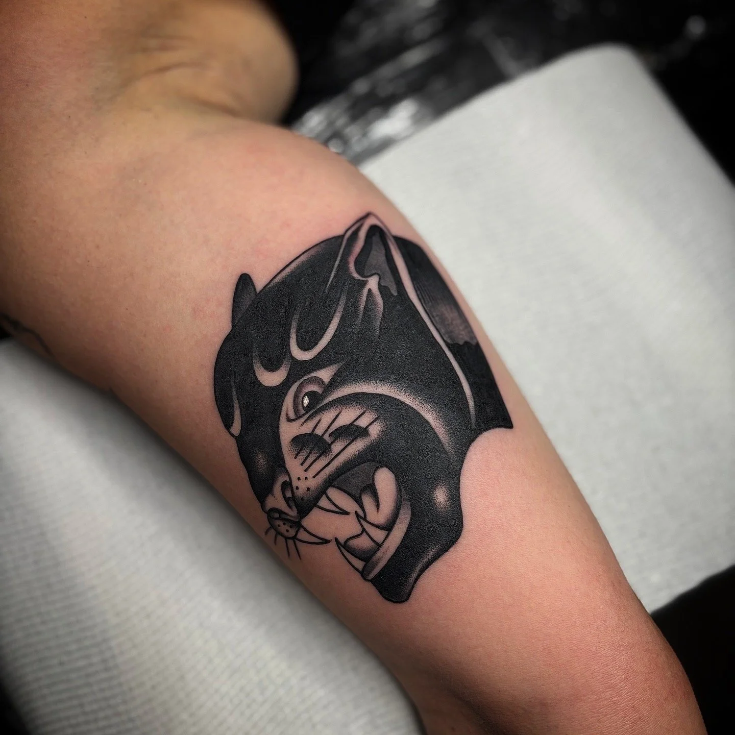 EE4EAB9D-D47B-4D37-A19B-7C0A228345C7 2.JPG