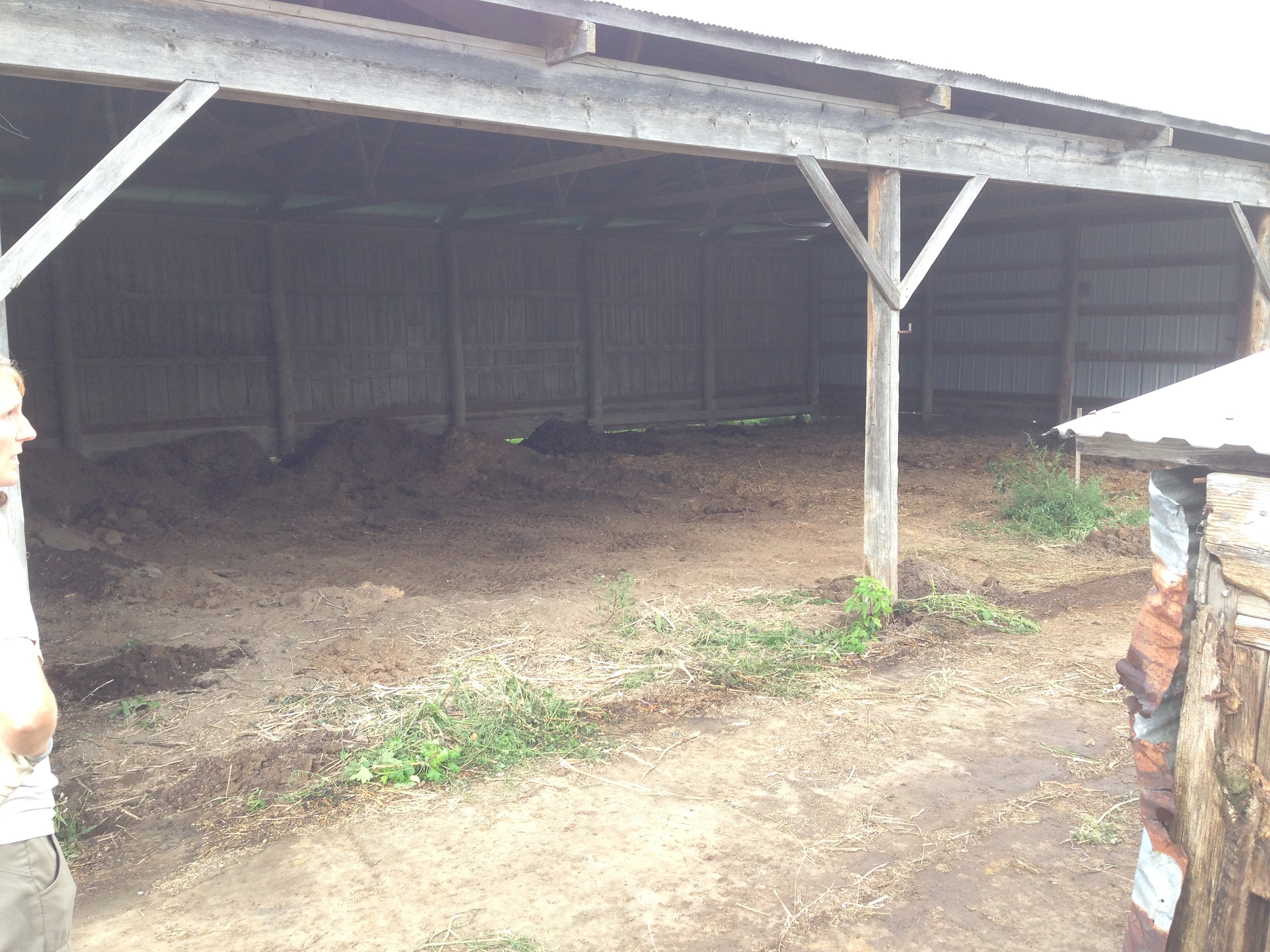 The soon-to-be packing shed after clearing out all the equipment and part-way through excavating out the old fill.