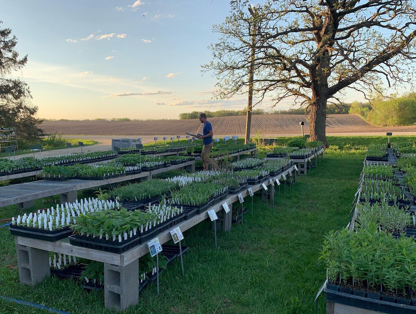 We&rsquo;re *almost* done packing preorders, and there&rsquo;s a bounty of inventory leftover. Join us tomorrow and Sunday to pick out the perfect plants for your domestic and wild gardens! We&rsquo;re open 9:00-3:00 both days. See you soon!
.
.
.
#n