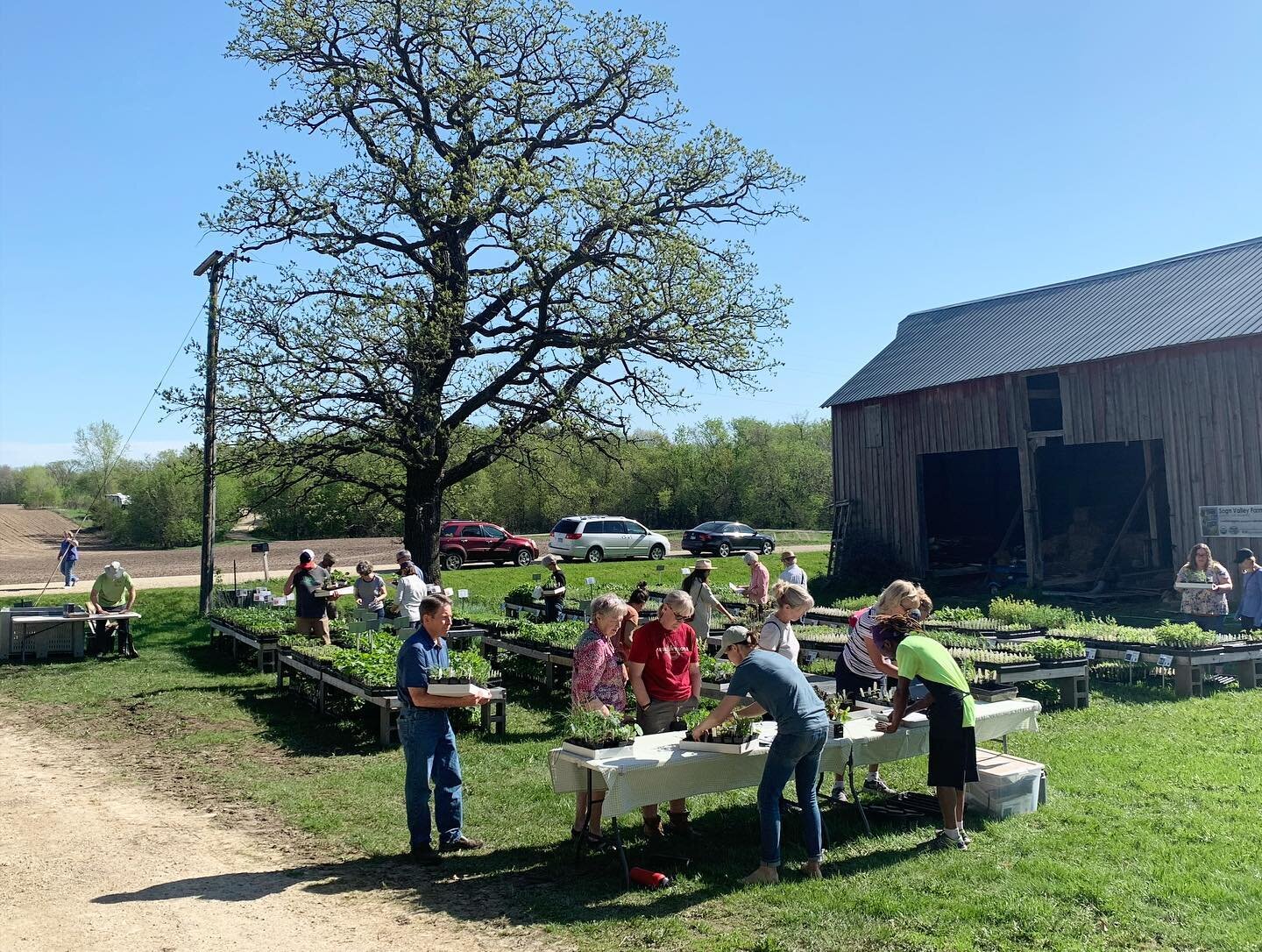 What a sweet, sweet weekend. We were
finally served goldilocks weather, and we took full advantage of it - we hope you did, too!

Thank you to everyone who traveled beyond convenience to purchase your garden starts from us. It was life-affirming to h