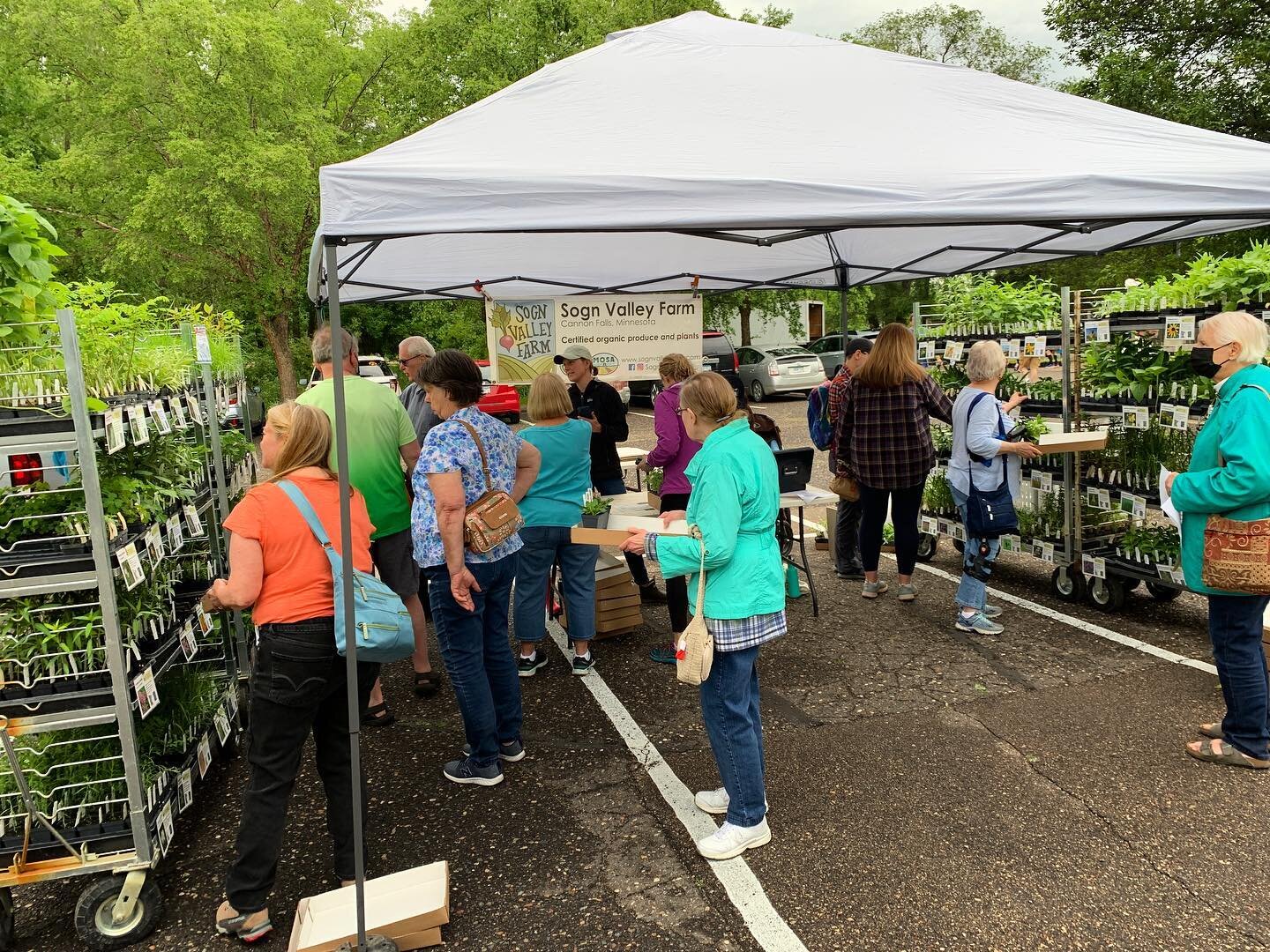 LAST NATIVE PLANT SALE OF THE SEASON! Come join us at the Landscape Revival today in Shoreview until 1:00 for a wide variety of pollinator-friendly native plants. There are several another native plant vendors here so you are bound to find the specie