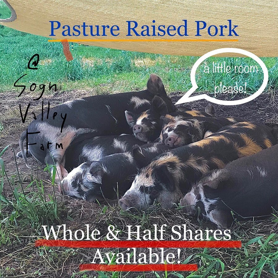 We are excited to share that half and whole pork shares are available from our Assistant Manager, Stephen. He&rsquo;s raising ten hogs on pasture here at the farm and supplementing with certified organic grain. We are super excited for the whole hog 