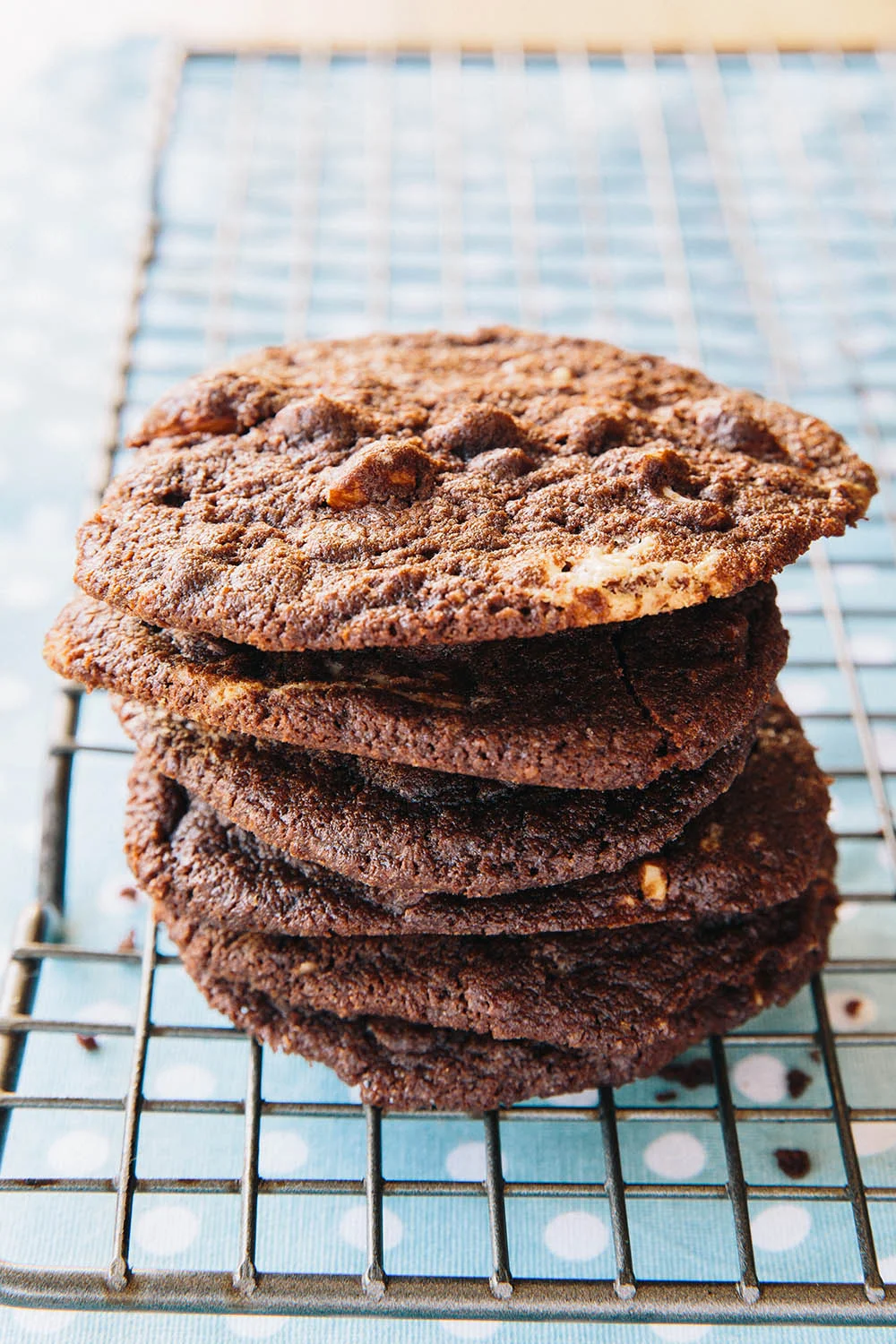 double chocolate chip chocolate cookies