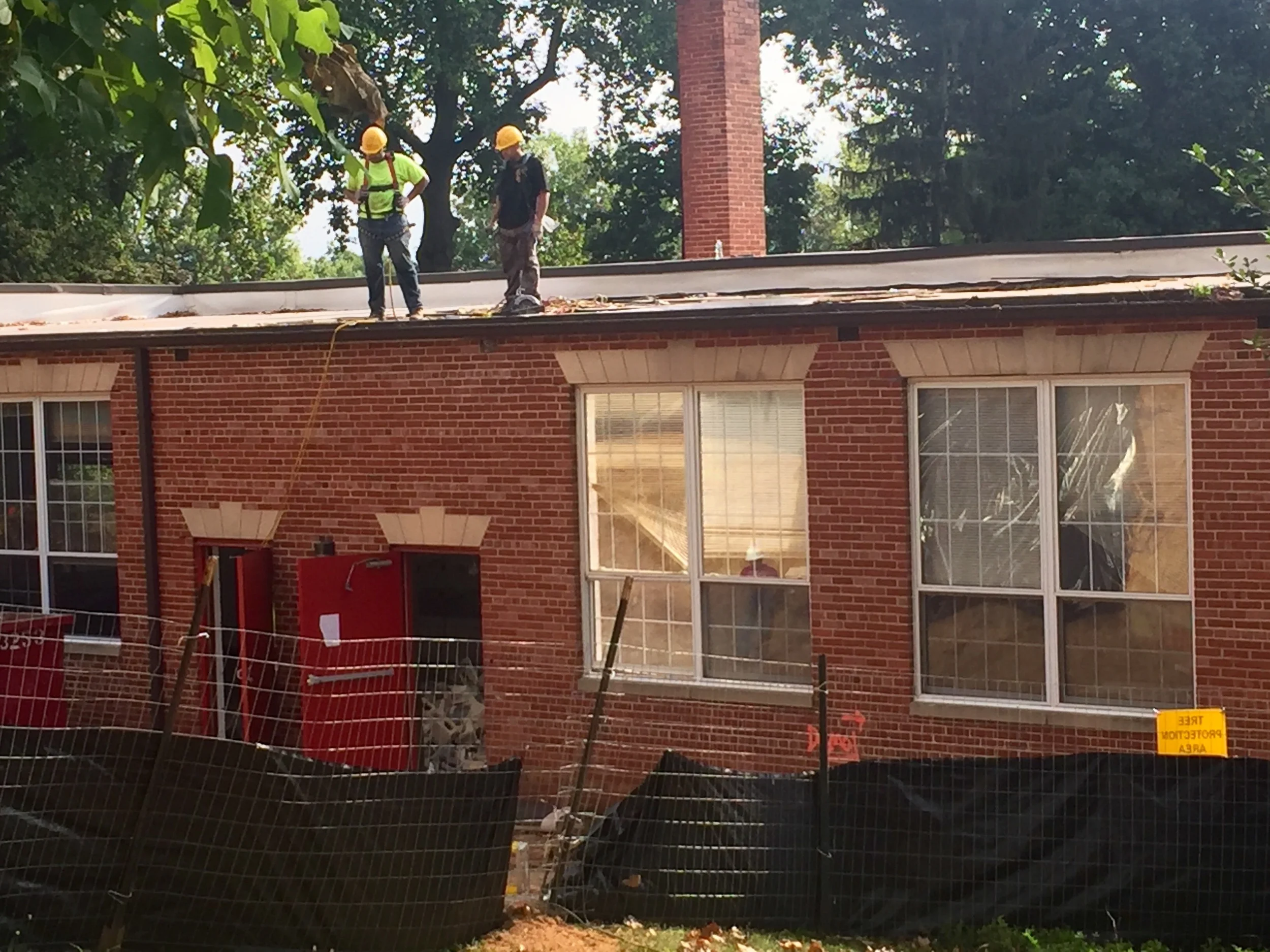 Roof 2.jpg