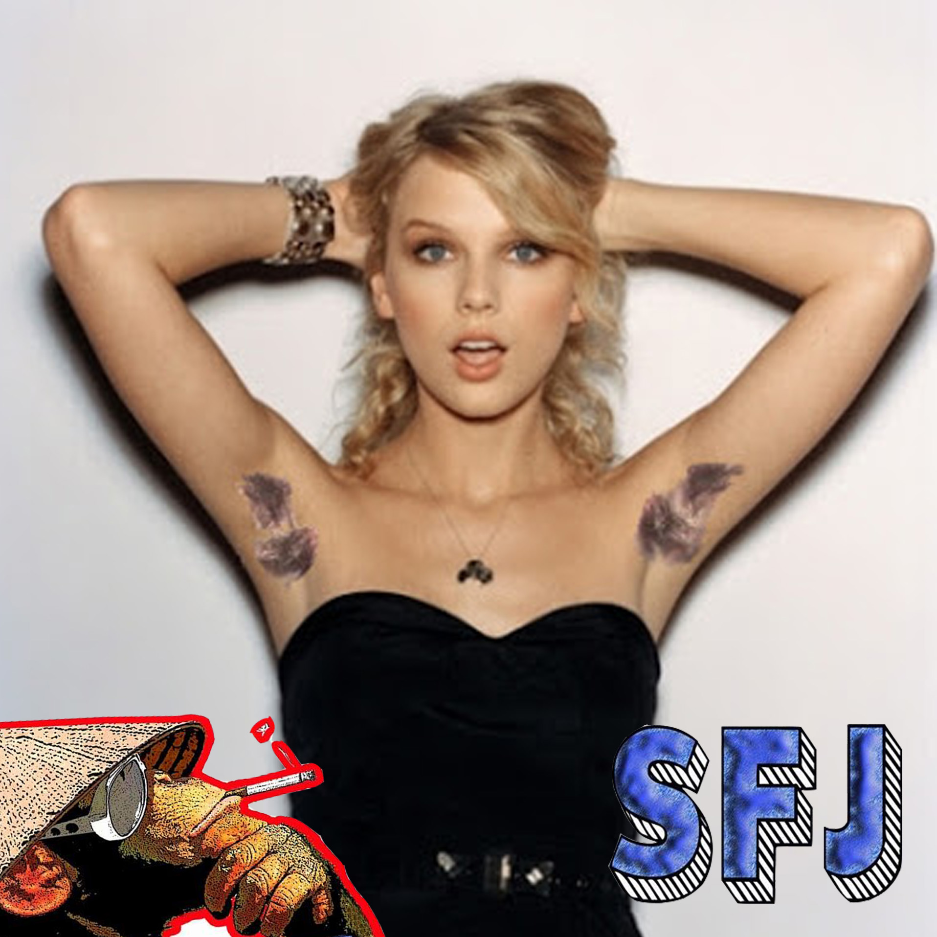 100 - Taylor Swift's Armpits