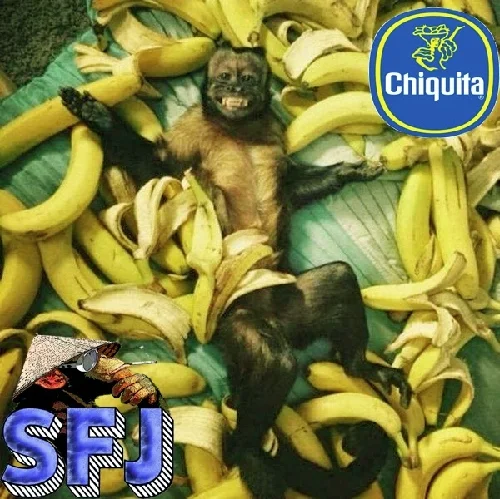 089 - SFJ Sell Out