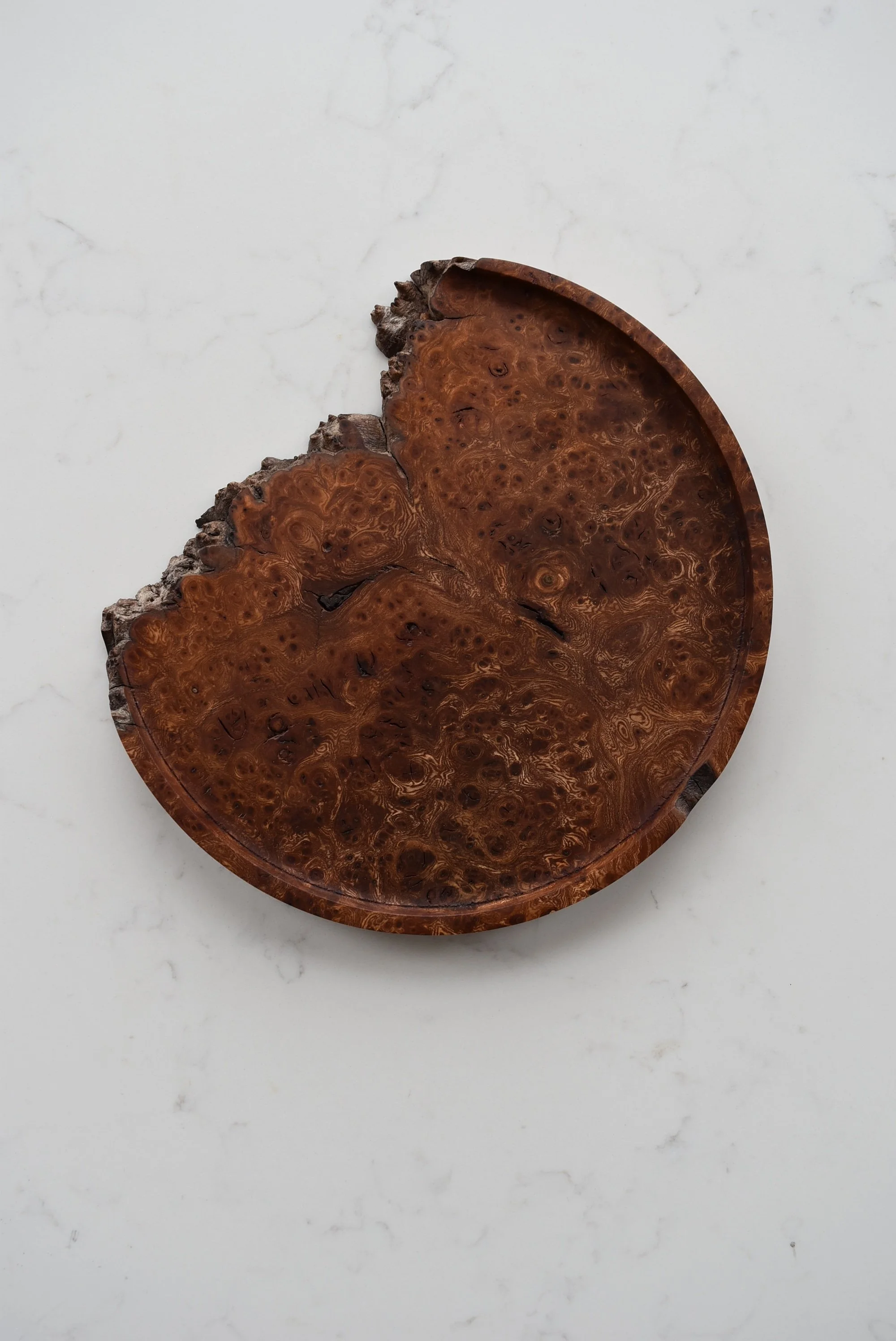 Tray in Dramatic Burr Elm