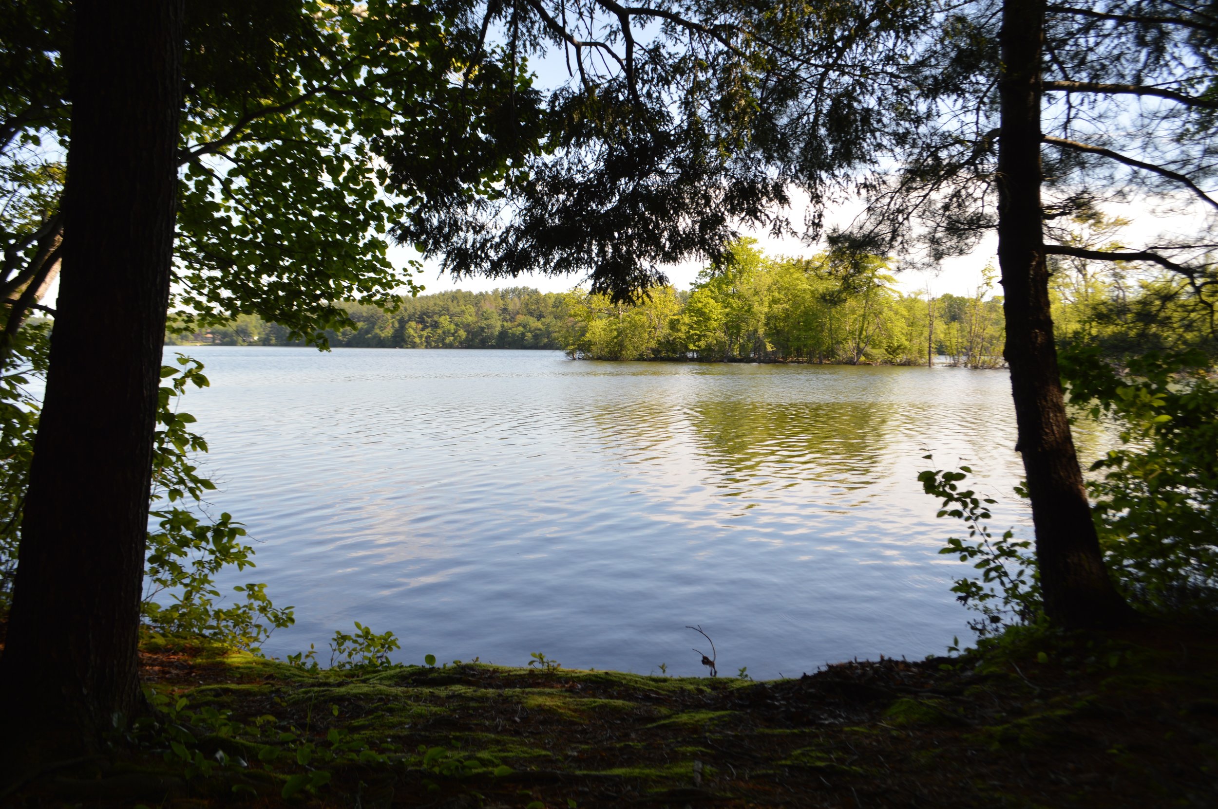 DSC_0999.jpg