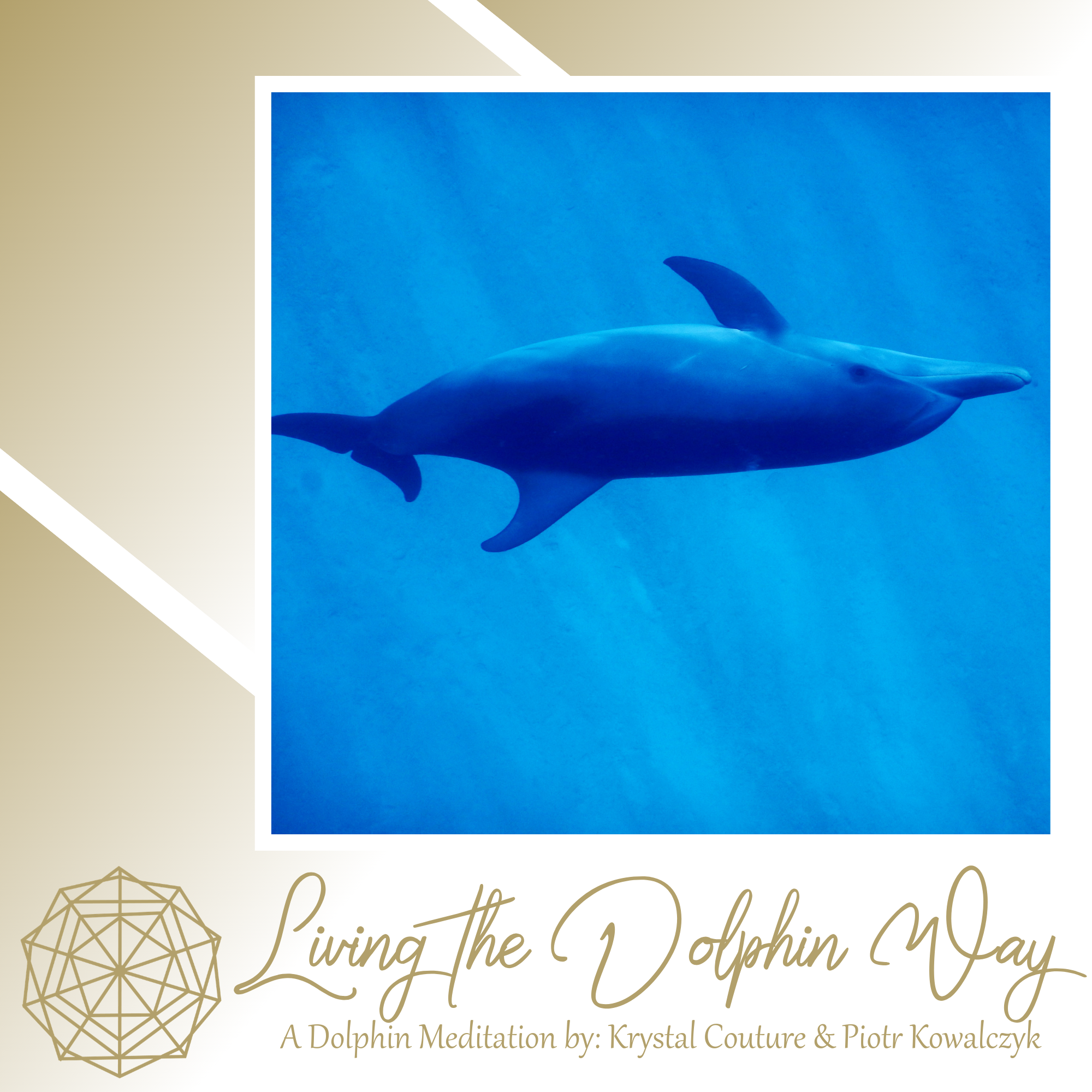 Dolphin Meditation Graphics-6.png