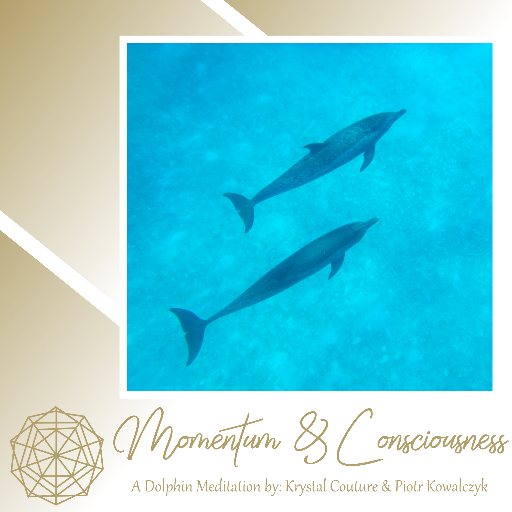 Dolphin Meditation Graphics-7.png