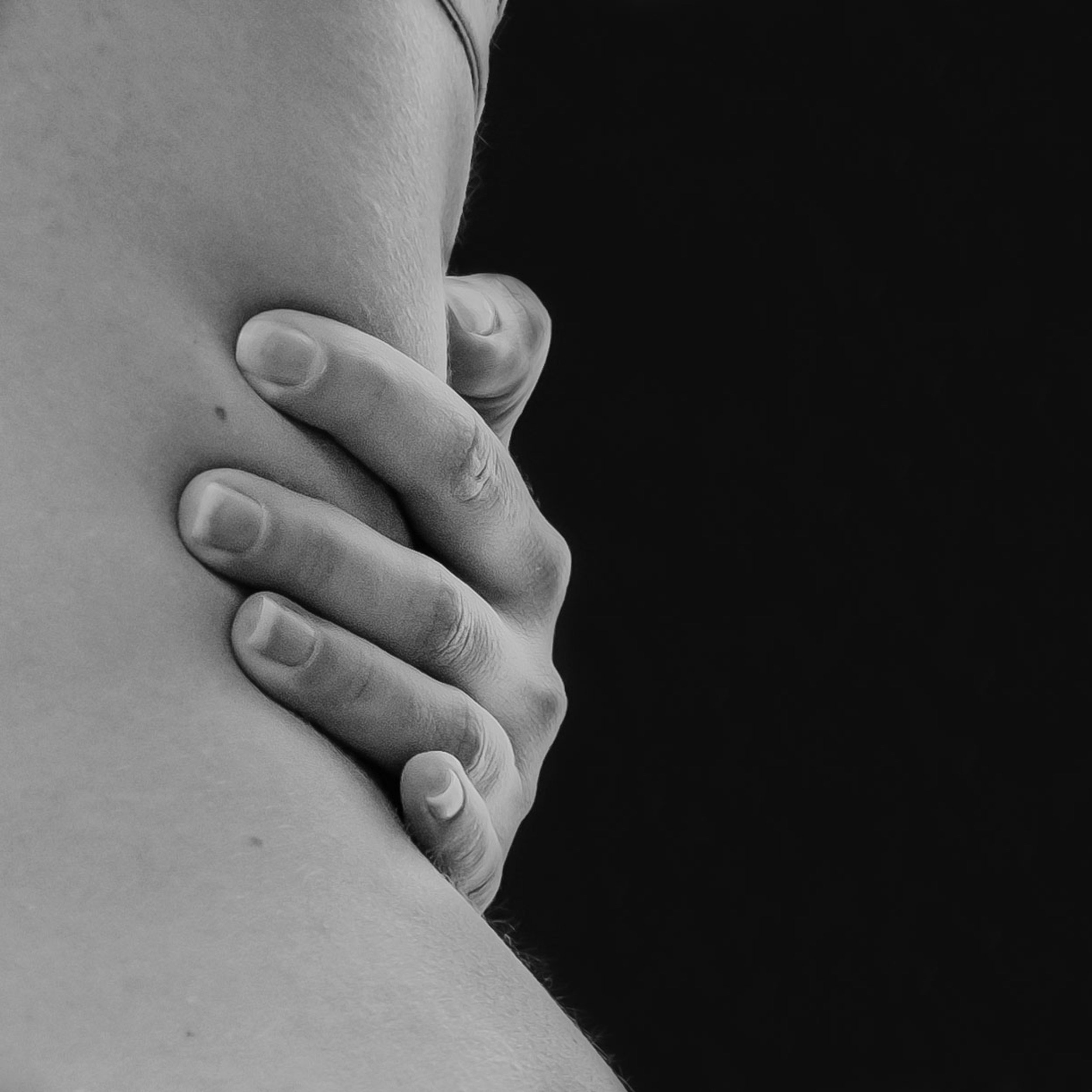 Gut Health, Menstruation + The Pelvic Floor