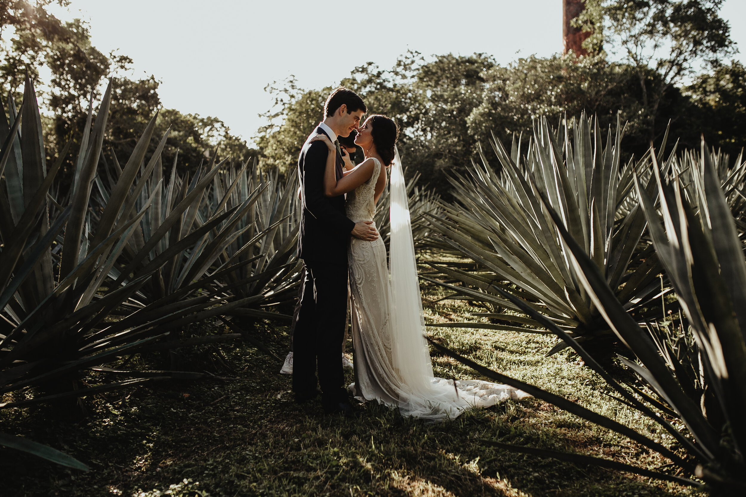 0467D&Pslide__WeddingDestination_Weddingmerida_BodaMexico_FotografoDeBodas_FabrizioSimoneenFotografo.jpg