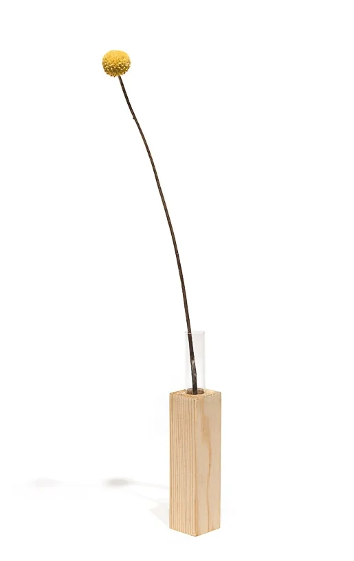 1 x 1 pine drop off; bored to house a test tube; dried flower from a party.