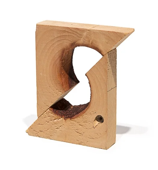Scrap wood minus the knot.