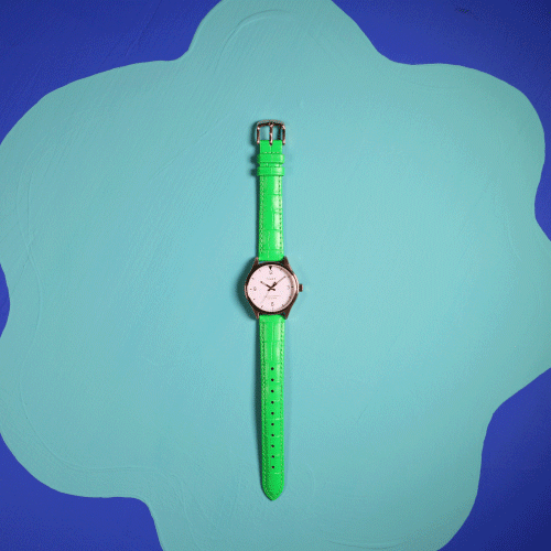 Timex_Watch_02_02.gif