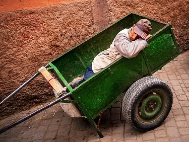 cart napper mika-590716-unsplash.jpg