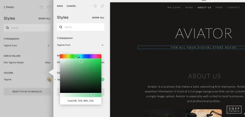 Squarespace Font Guide: How to Change Fonts, Colors, and Sizes 