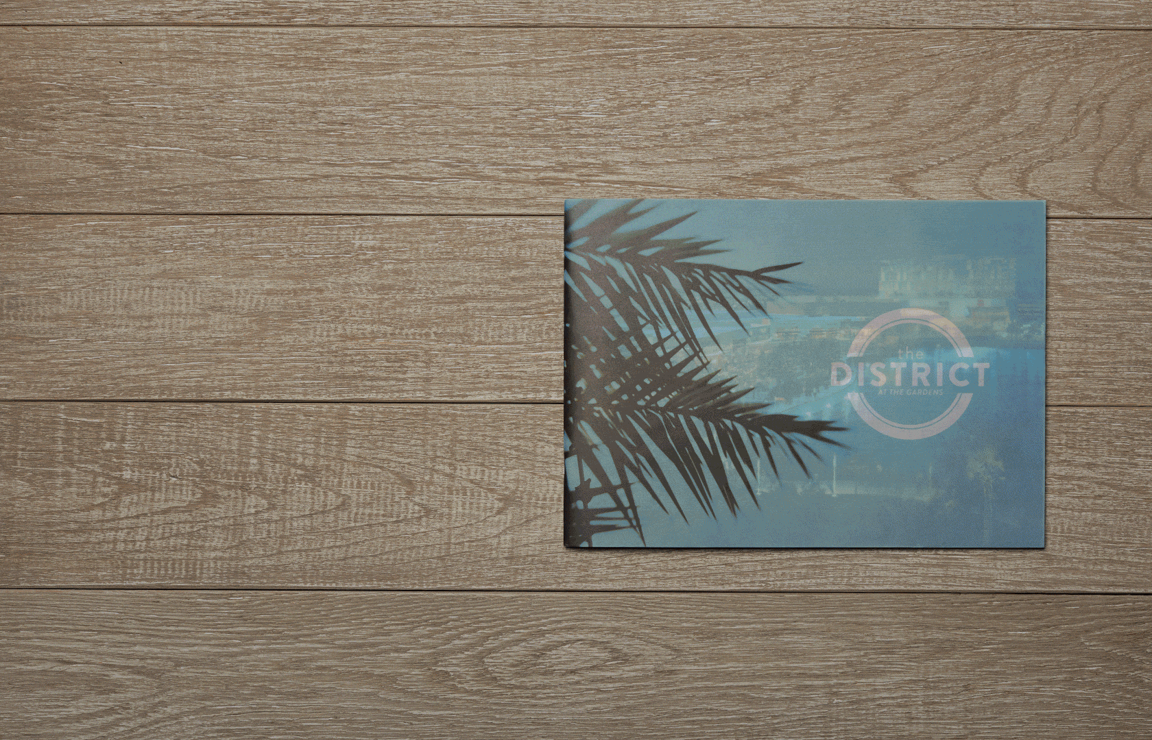 DATG-Brochure.gif