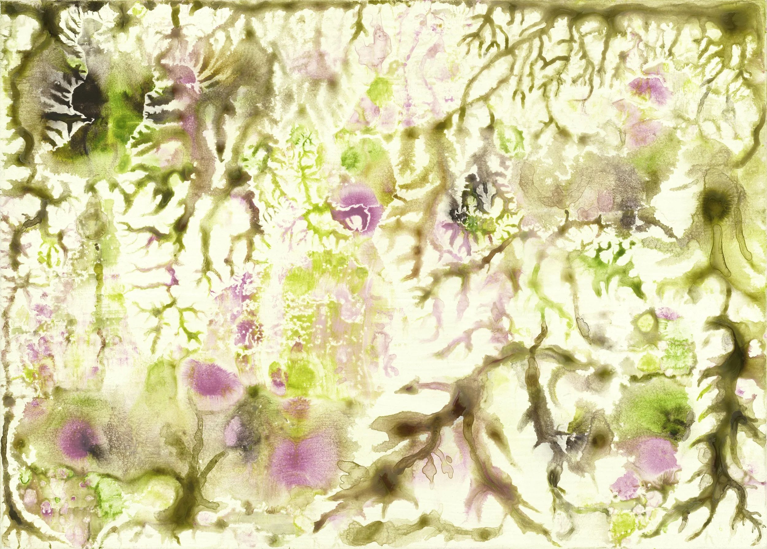 Spring (1)