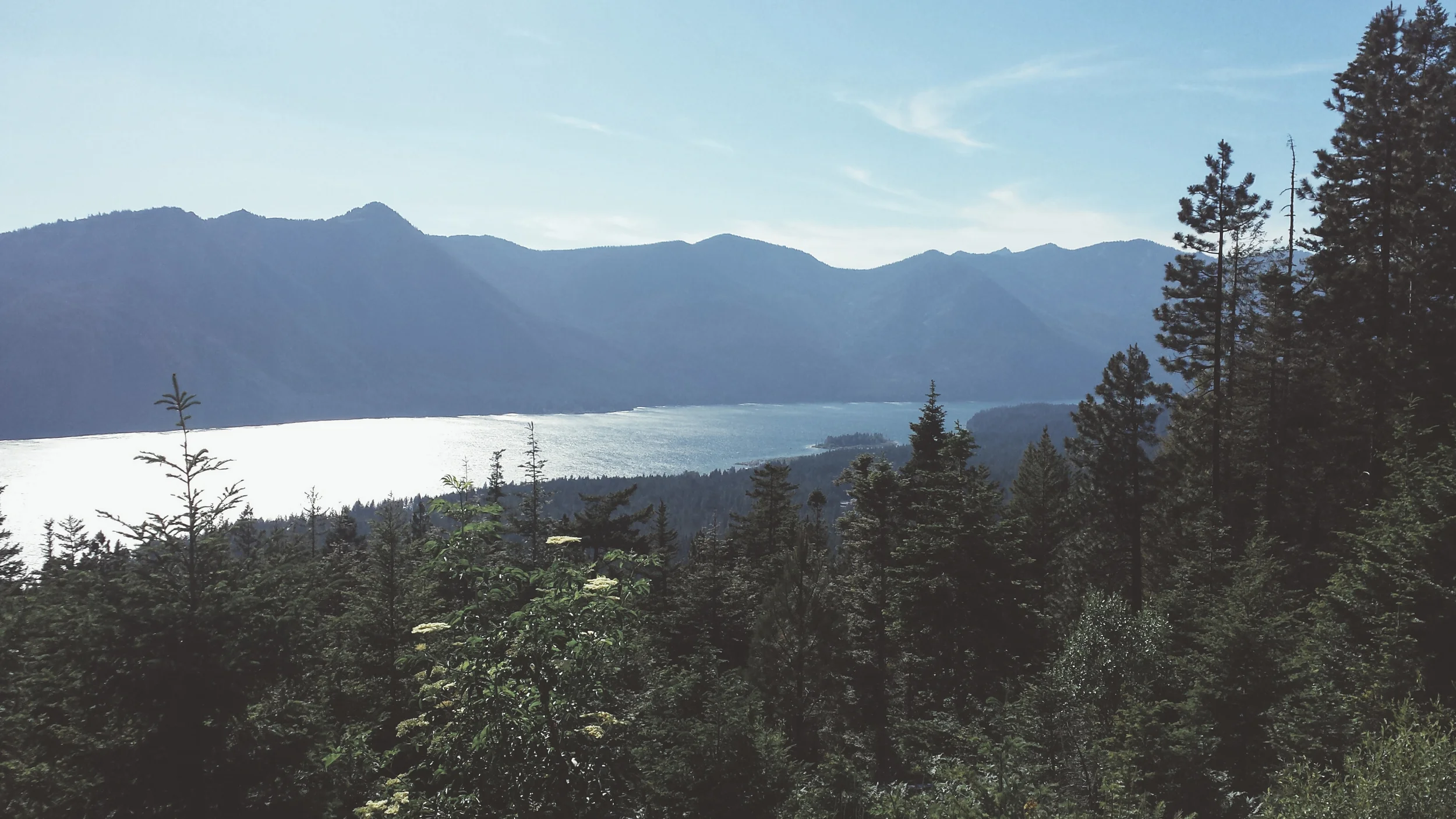 20150610_173505_resized.jpg