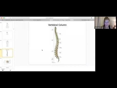 Functional Anatomy 2/5 (Copy)