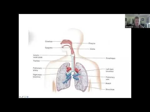 Functional Anatomy 1/5 (Copy)