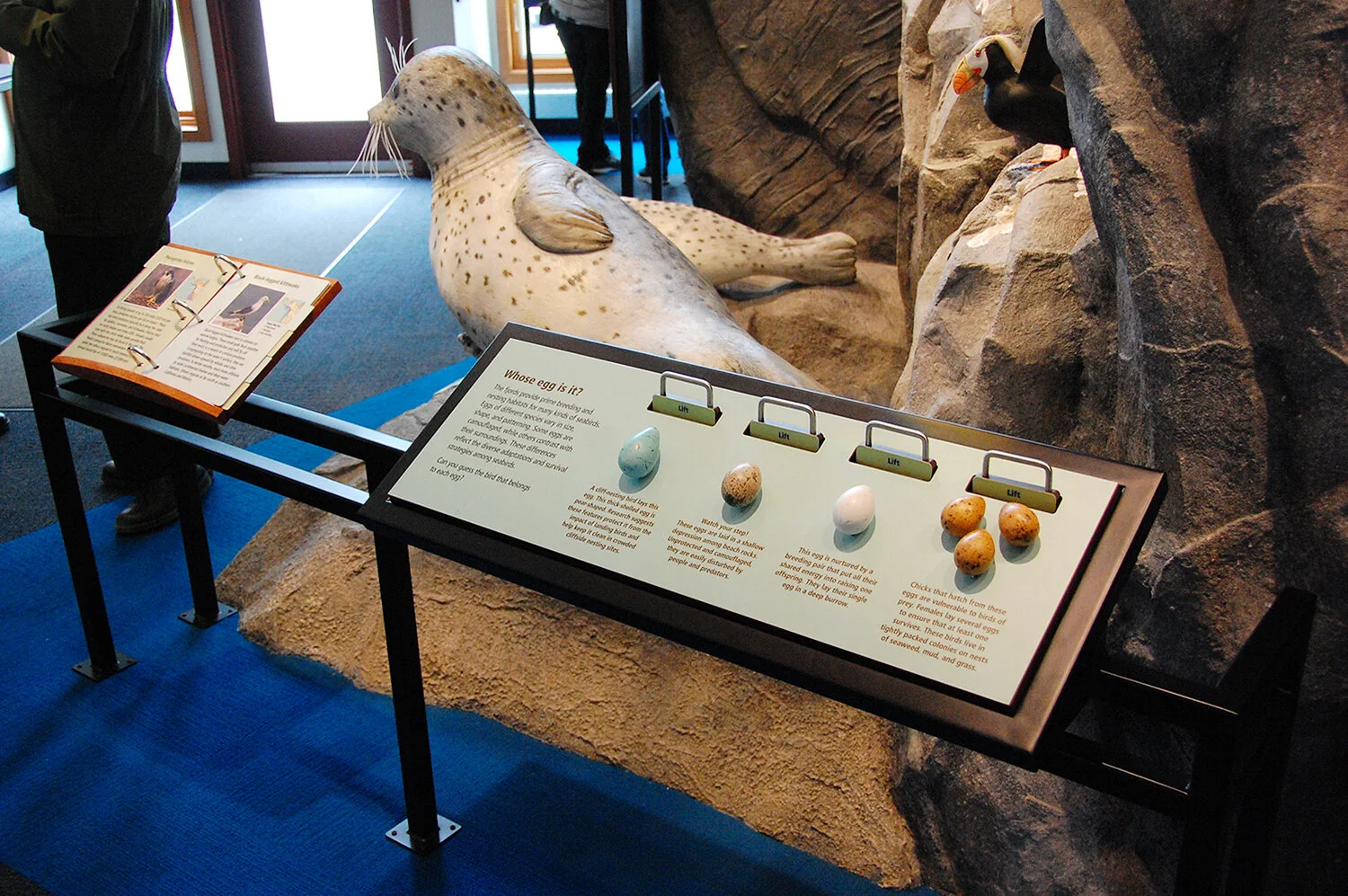 Whose Egg Is It? DSC_0143_150dpi.jpg