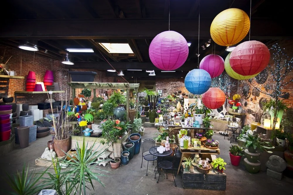 Image Courtesy of Yelp, Photographer K. Likoudis