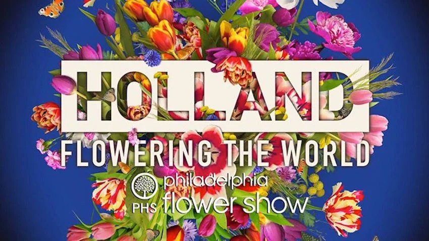 Image courtesy of theflowershow.com