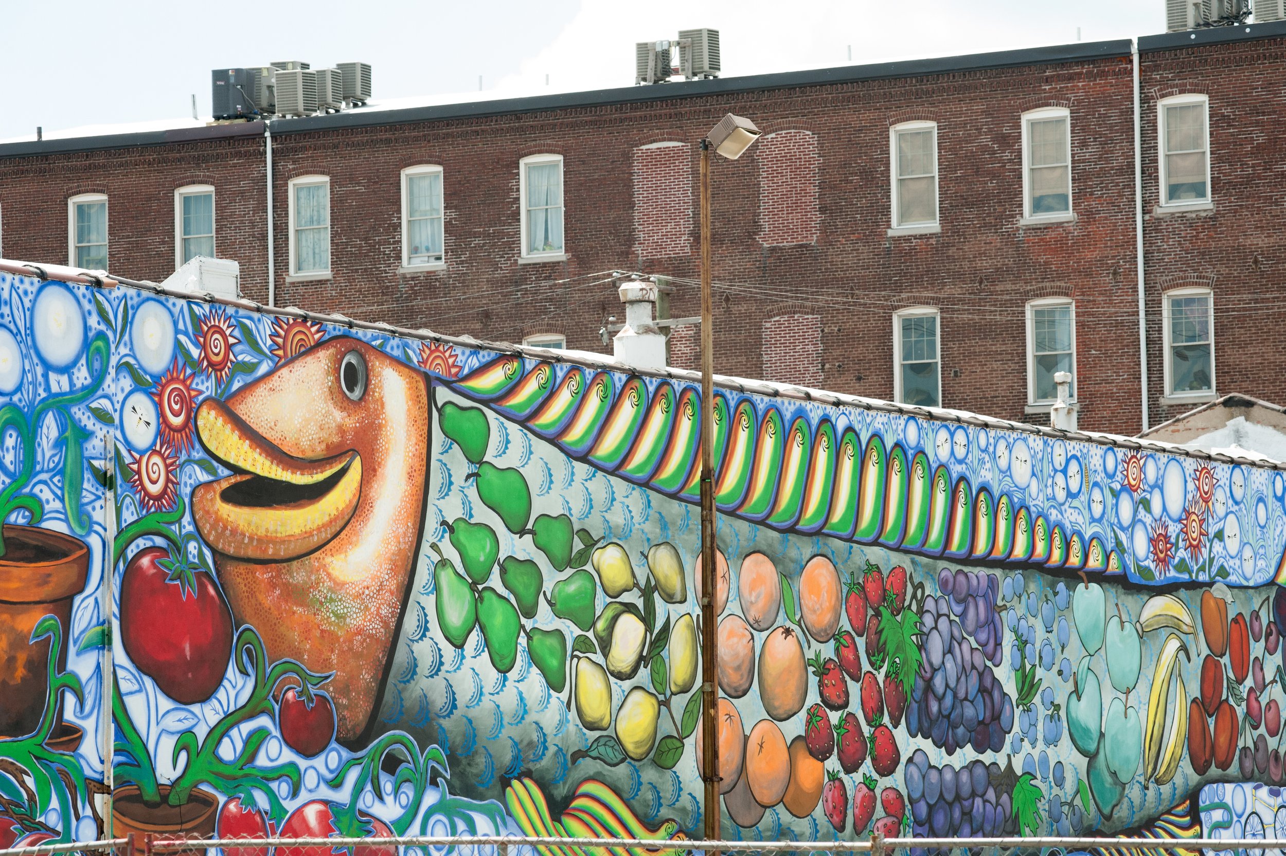 Philadelphia mural of a fish in the Fishtown neighborhood
