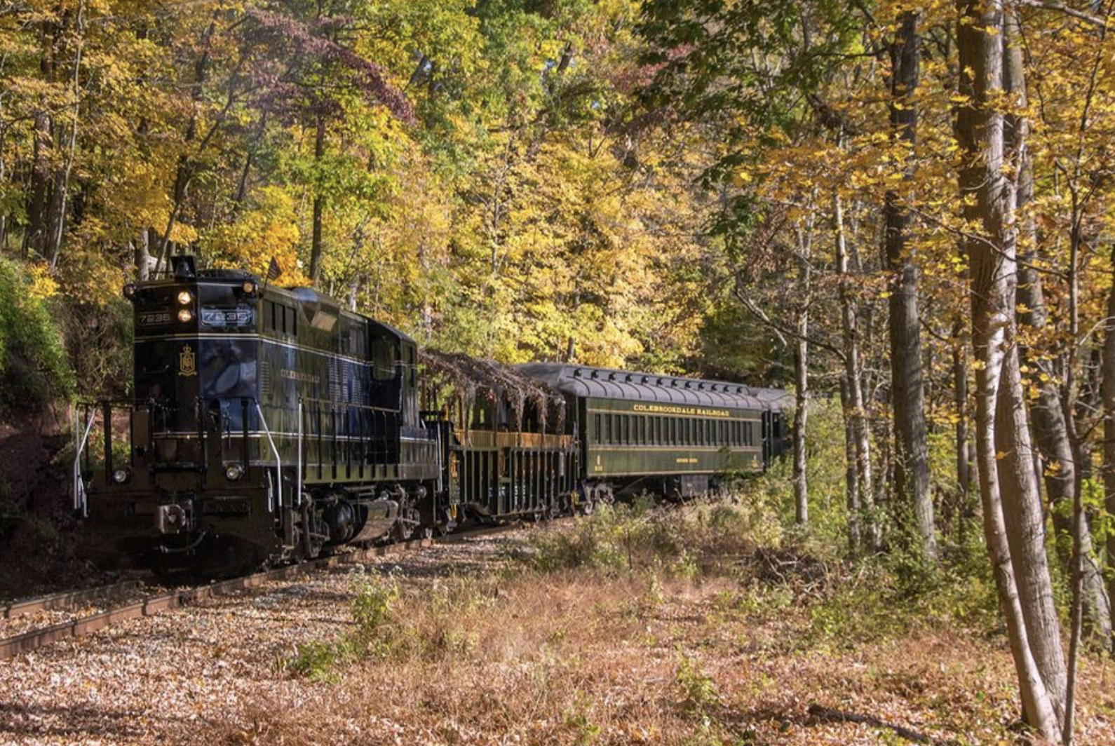 Colebrookdale Railroad Instagram.png
