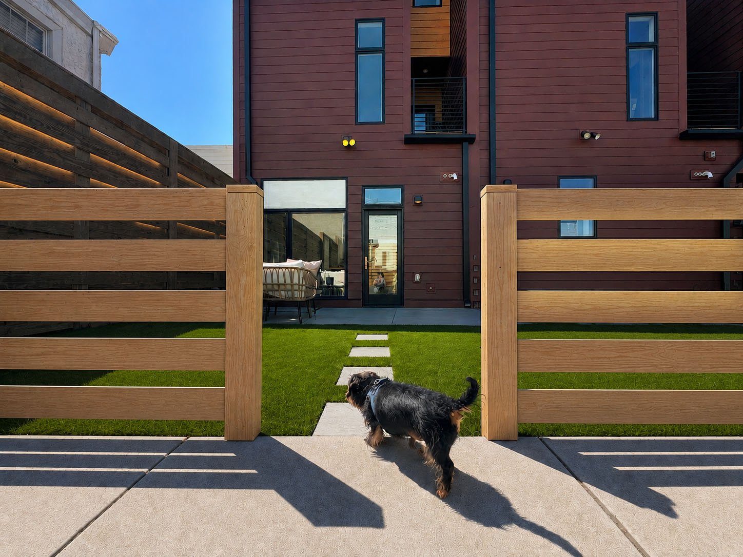 yard with dog walking.jpg