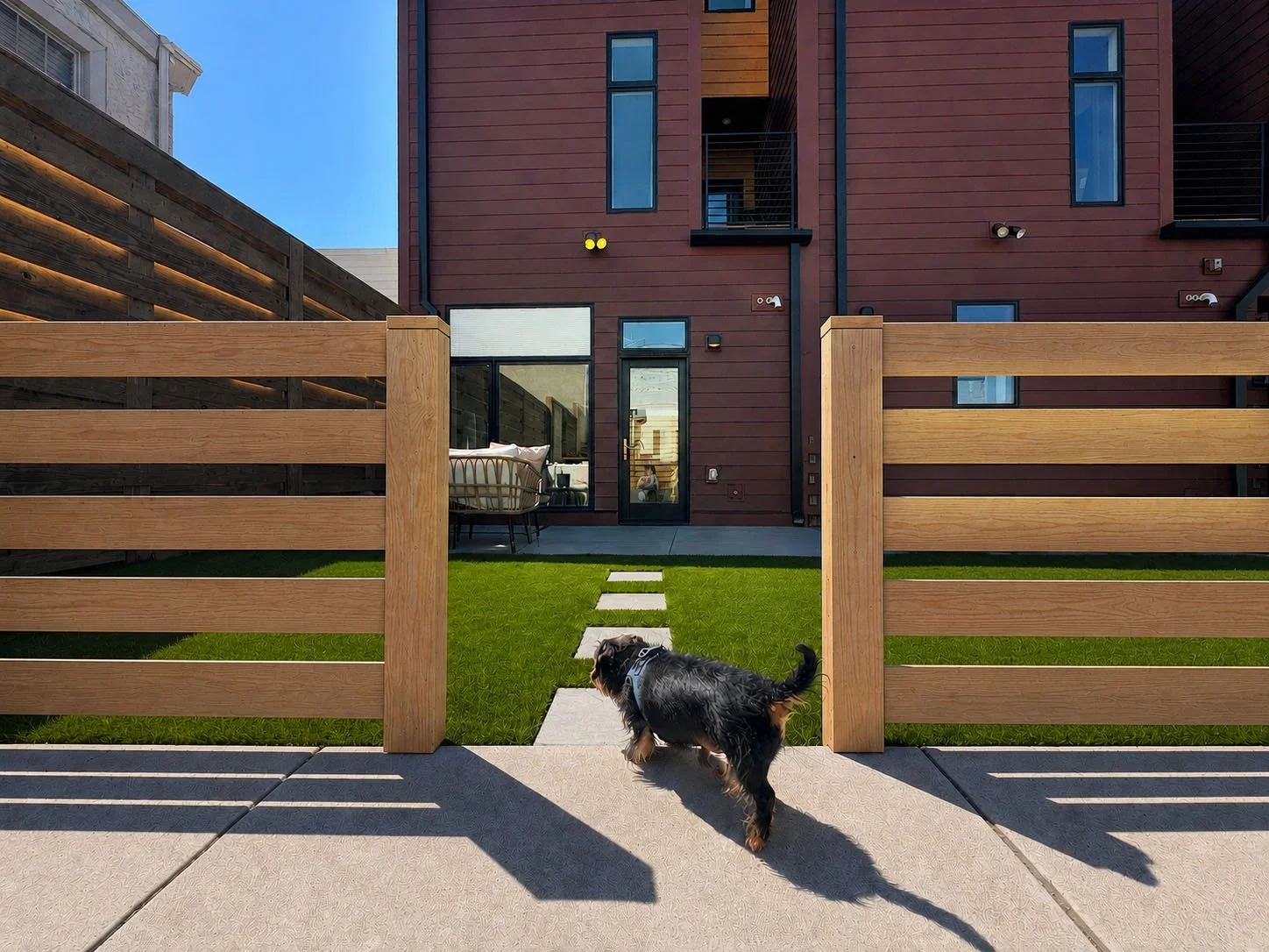 yard with dog walking.jpg