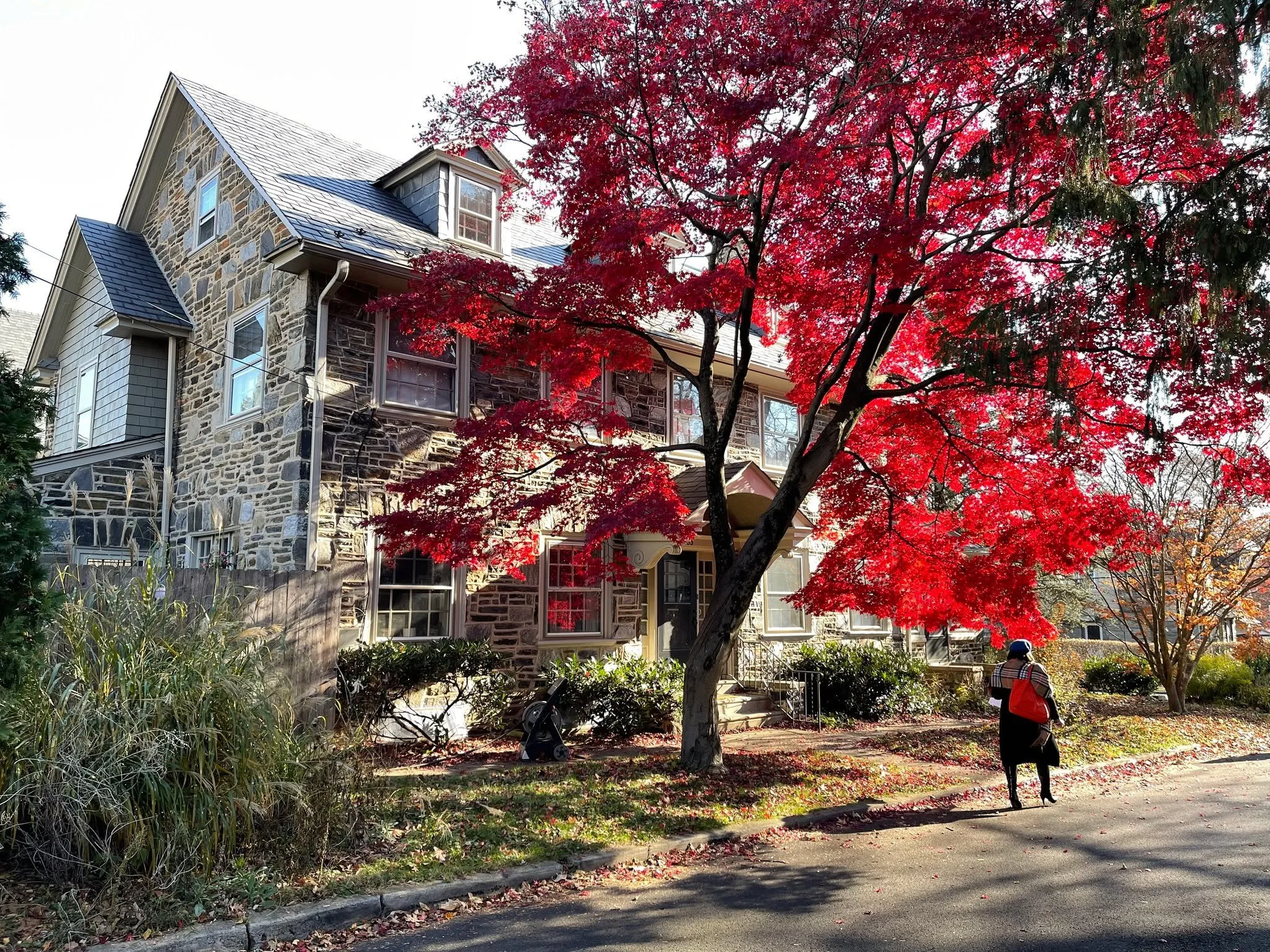Fun fact: Pennsylvania has one of the most diverse fall foliage experiences in the US!

Did you catch our fav blog in this months Philly Home Girls Newsletter? Ok, they're all our fav's but 🍁 Leaf Peepin' This Fall 🍁 is at the top of the list. #lin