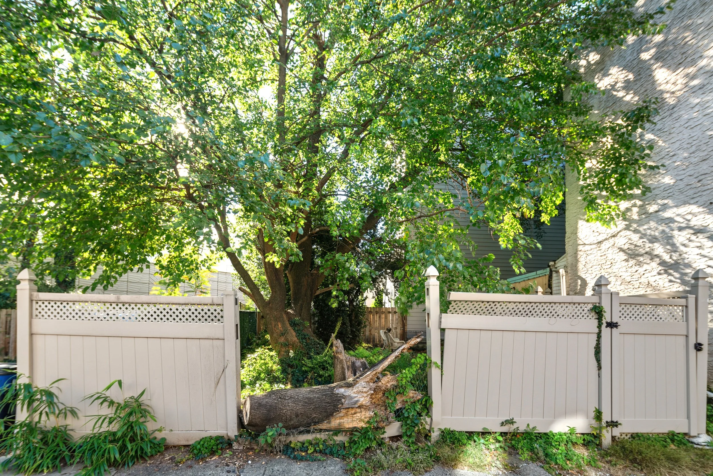 1125 E Susquehanna Ave-Full-18.jpg
