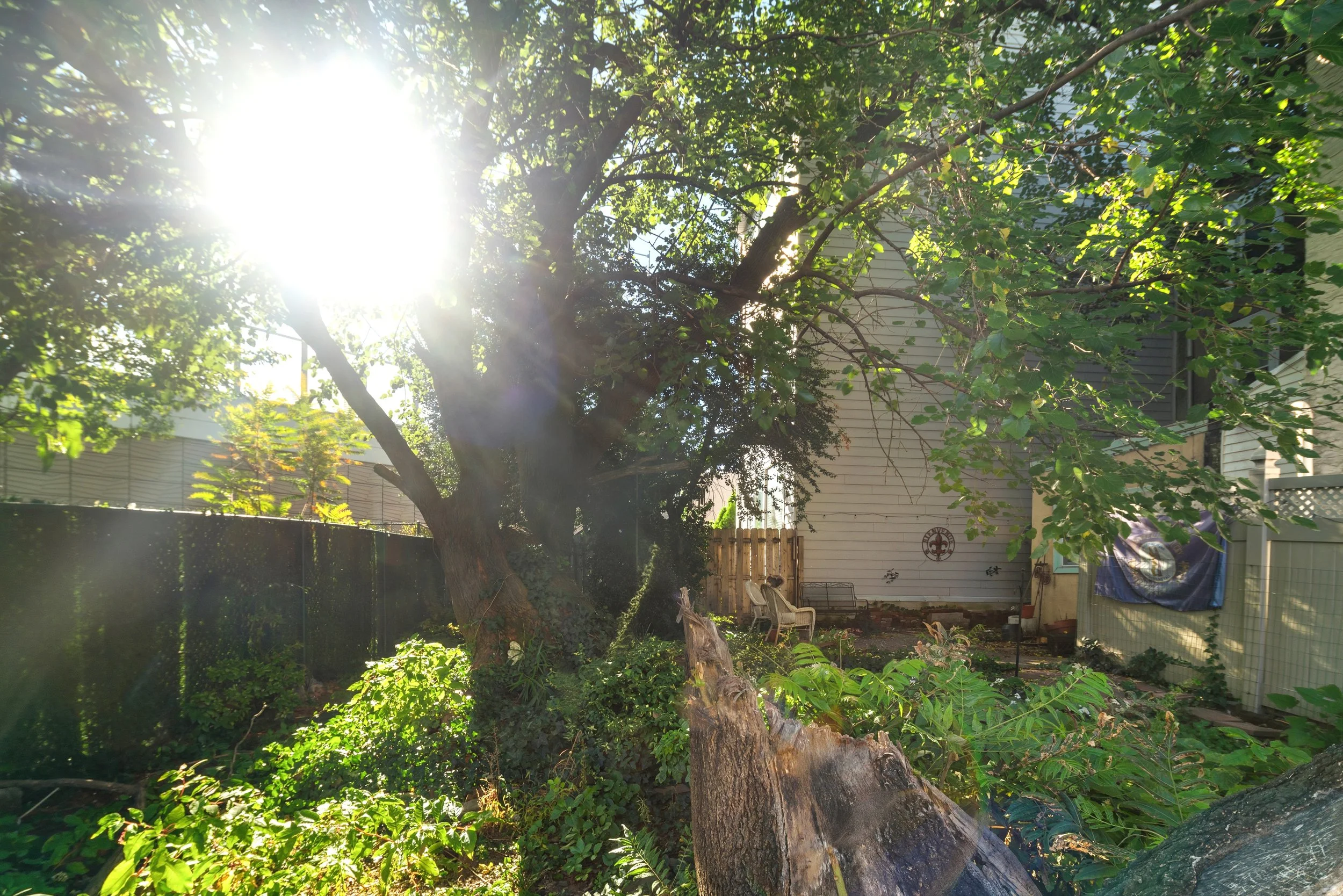 1125 E Susquehanna Ave-Full-20.jpg