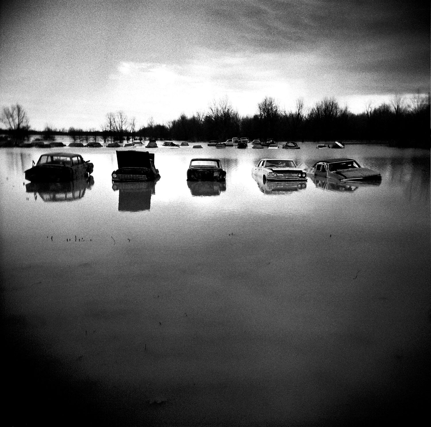 Cars in Water