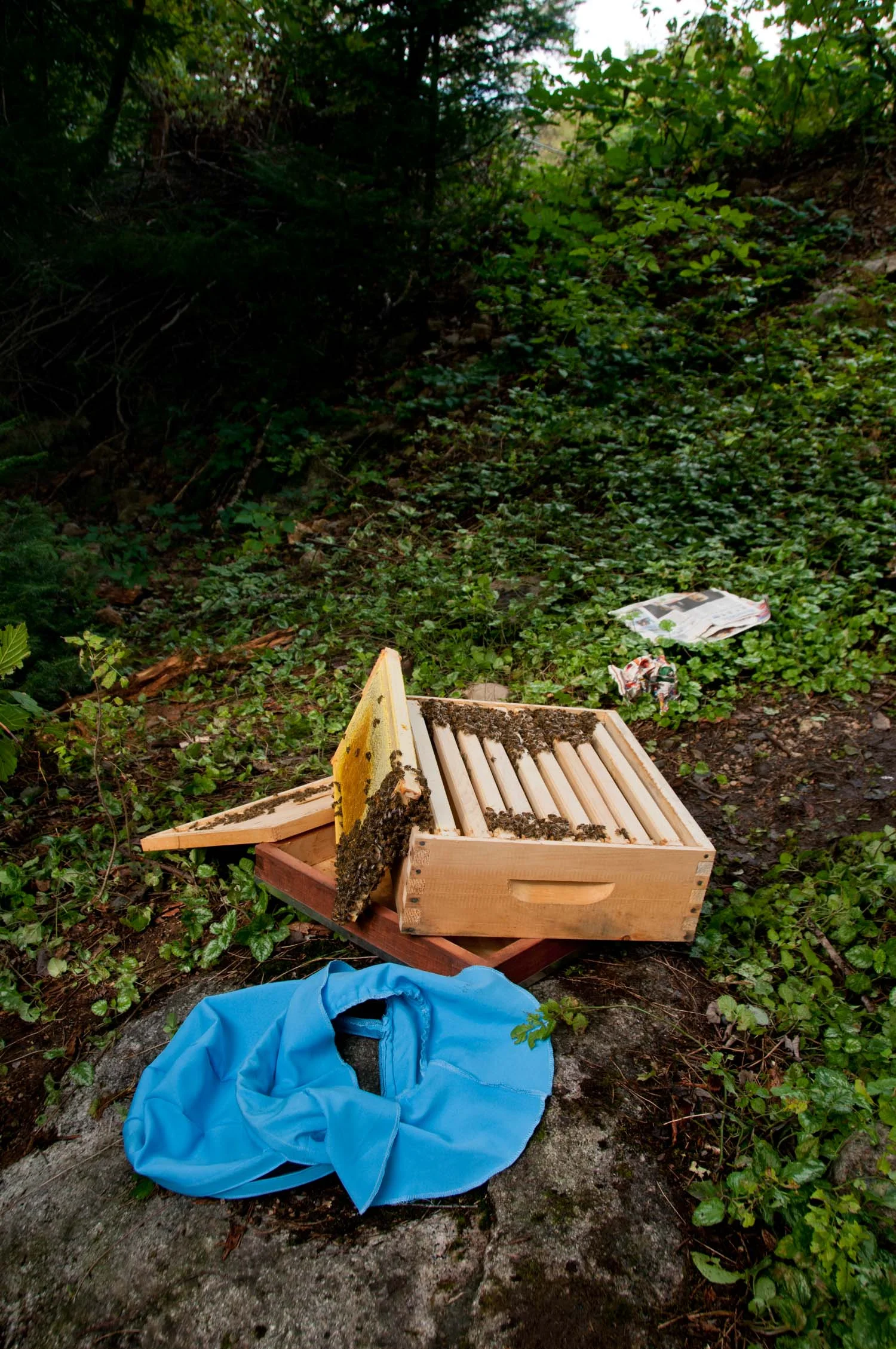 Beehive Beekeeper parts