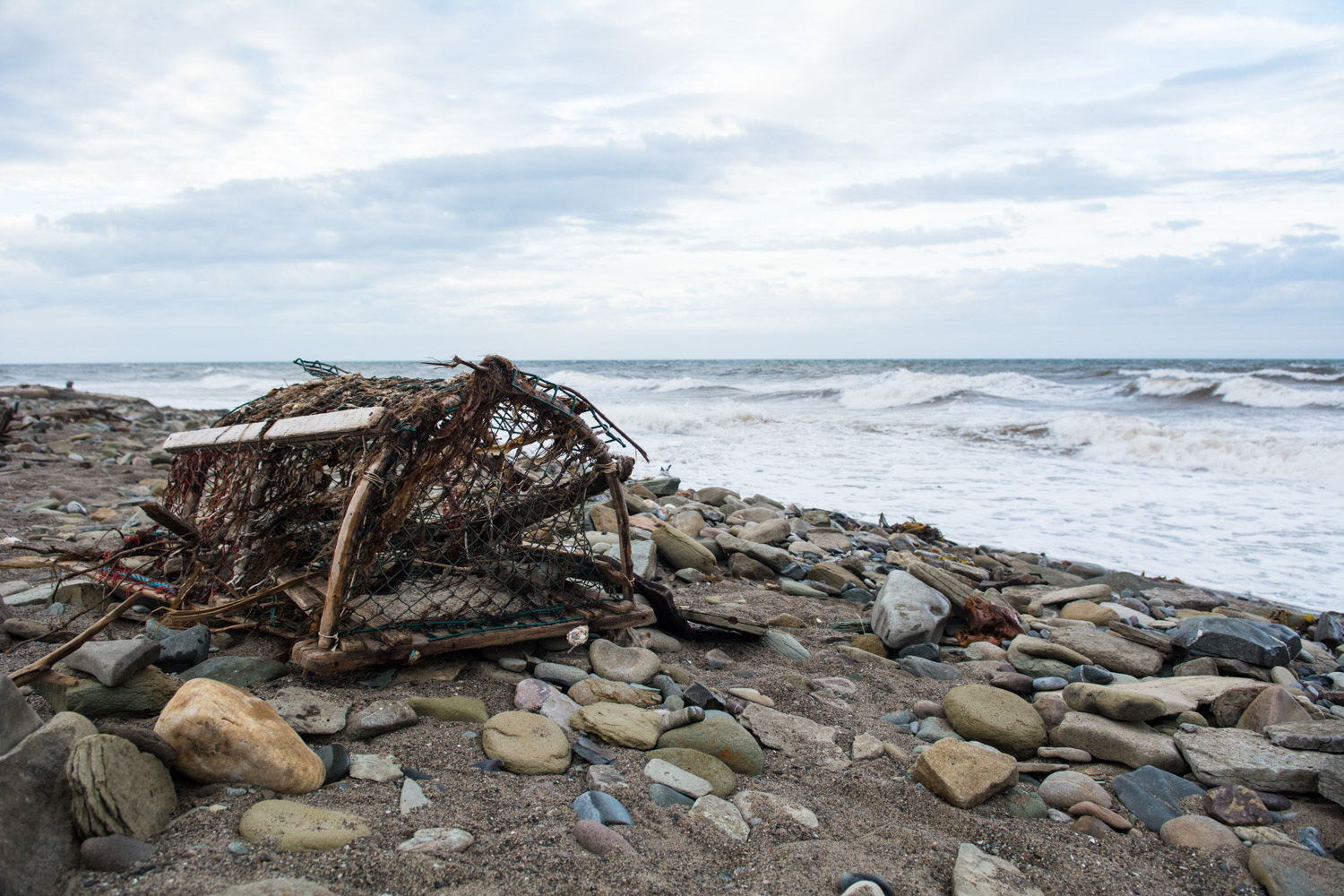 Lobster Trap and Rocks